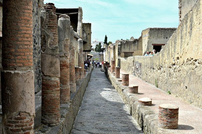 2-Hour Private Guided Tour of Herculaneum - Accessibility and group size considerations