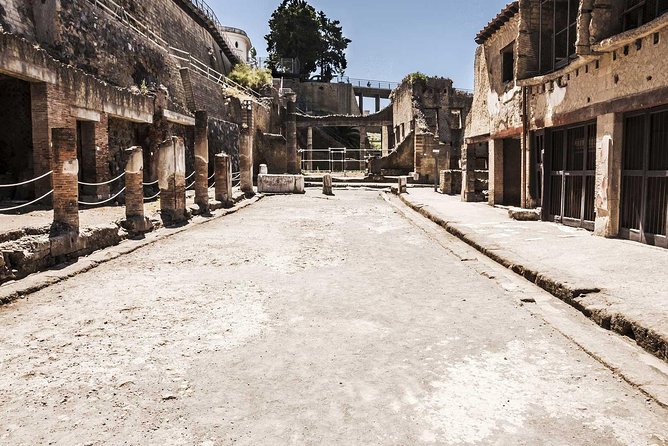 2-Hour Private Guided Tour of Herculaneum - The value of expert guidance at a UNESCO site
