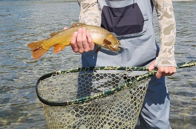 2 Hour Private Guided Walk Wade Fishing at Jackson Hole - Pricing, Availability, and Booking Tips