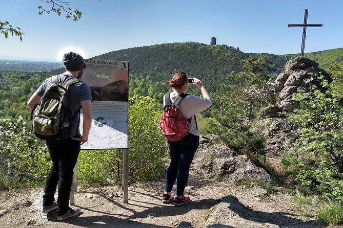 2-Hour Private Hiking Tour Helenental Castles Hike from Vienna - Explore Helenental’s Castle Ruins on a Private Vienna Hike