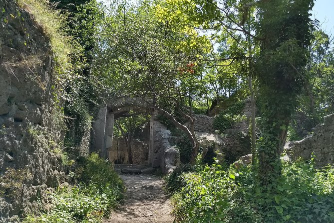 2-Hour Private Hiking Tour Helenental Castles Hike from Vienna - Views Over Baden and the Schwechat Valley