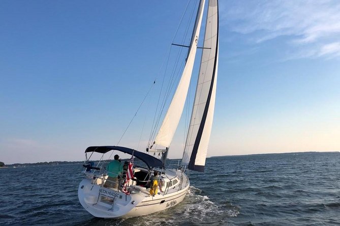2-Hour Private Hilton Head Afternoon Dolphin Watching Sail - Wildlife Watching: What You Can Expect to See