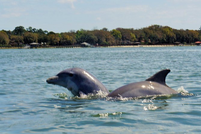 2-Hour Private Hilton Head Dolphin Watching Cruise - Weather and Cancellation Policies