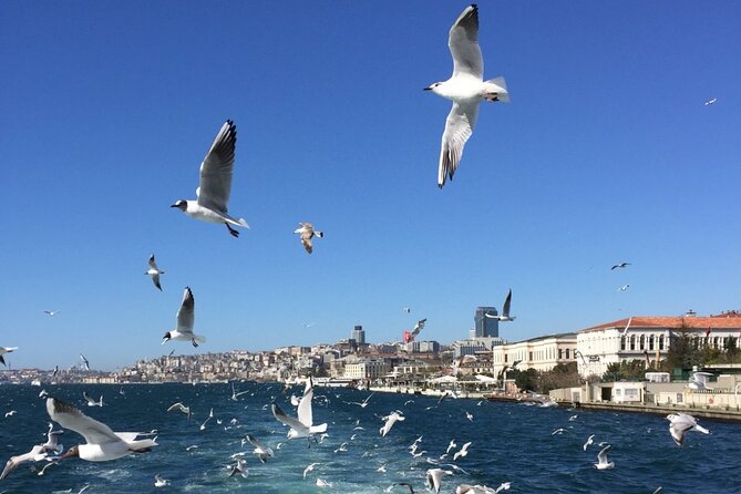 2-Hour Private Luxury Yacht Cruise on Bosphorus with Transfers - Notable Stops and Landmarks Along the Route