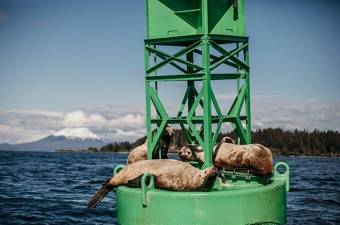 2 Hour Private Marine Wildlife Tour - Comparing with Other Wildlife Tours in Sitka