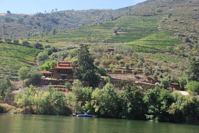 2-hour Rabelo Boat tour in Pinhão - The Impact of Crowds and Tour Timing