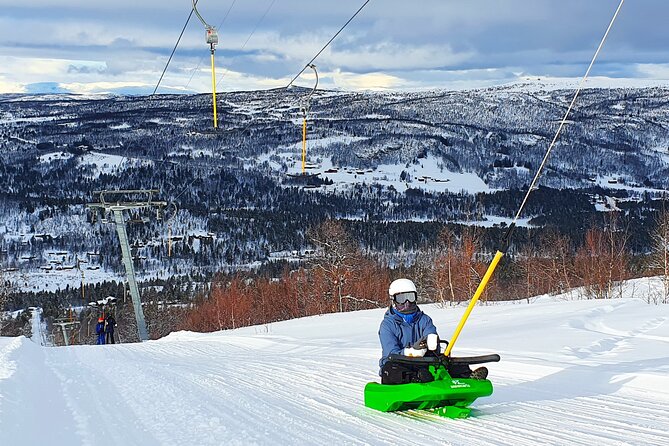 2-Hour Racing Toboggan at Dagali Fjellpark near Geilo in Norway - The Reviews: High Praise for Speed and Service
