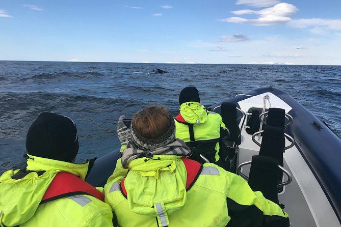 2-Hour RIB Boat Whale Watching Tour from Reykjavik - The Scenic Beauty of Faxaflói Bay