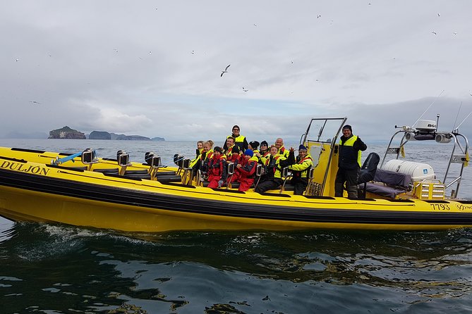 2 hour Round Trip in Vestmannaeyjar on a RIB Boat - Marine Life and Possible Whale Sightings