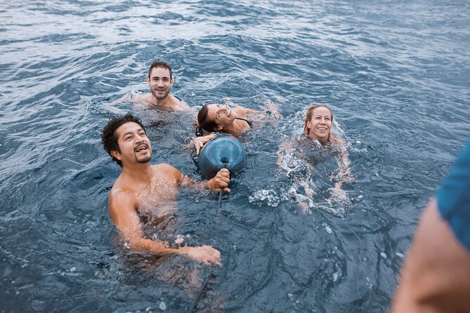 2-Hour Sailing Trip from Barcelona with open bar - The Captain and Crew: Professional and Friendly Guidance