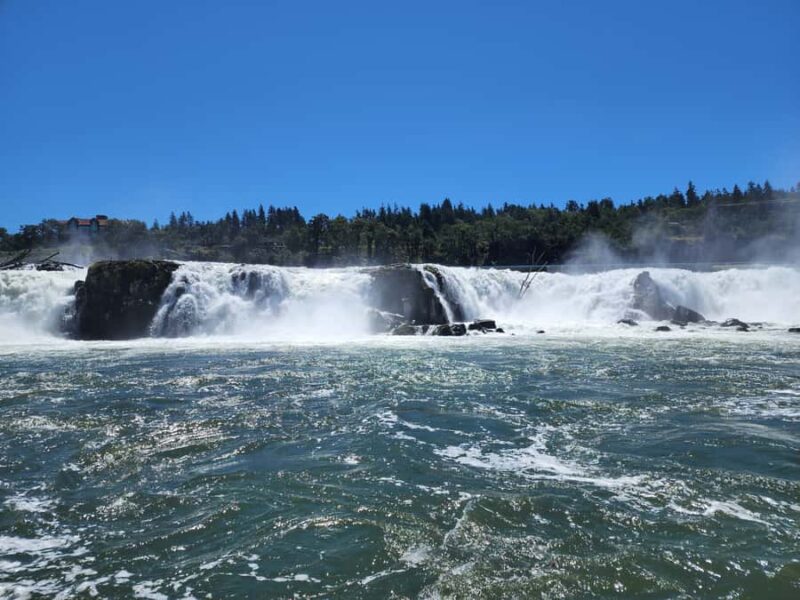 2-Hour Scenic River Tour to the Willamette Falls - Who Will Most Appreciate This Tour