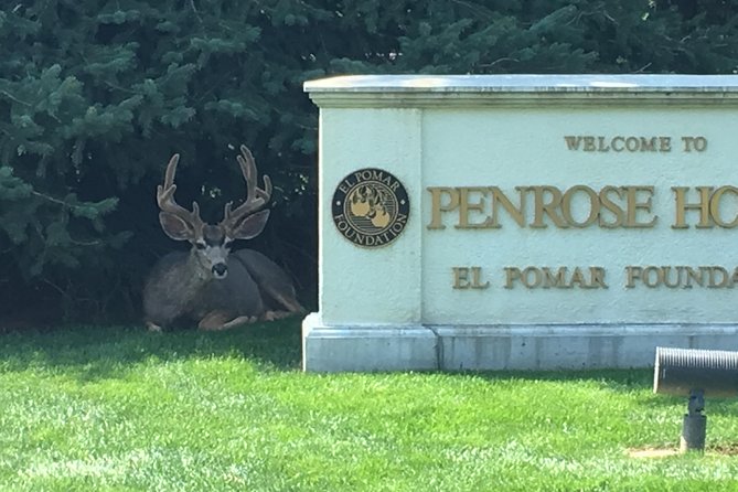2-Hour Segway Tour in Cheyenne Cañon and Broadmoor Area - Logistics of the Tour Experience