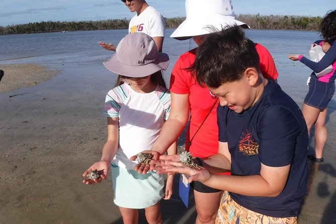 2-hour Shelling Boat Tour in the 10,000 Islands - Departure Point and Tour Duration in Goodland