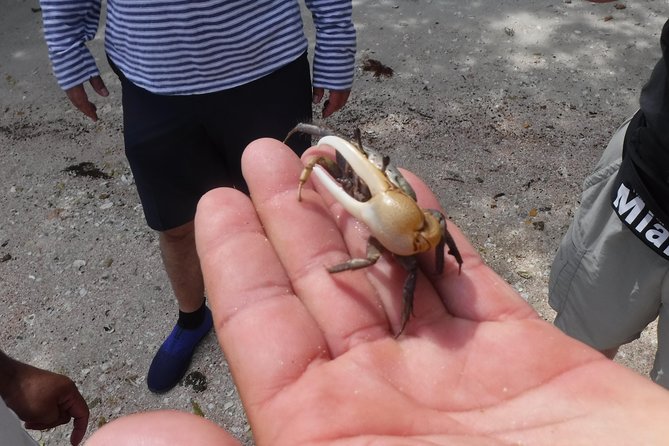 2-hour Shelling Boat Tour in the 10,000 Islands - The Role of the Certified Master Naturalist Guide