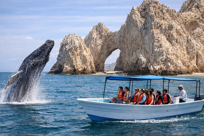 2-Hour Shore Excursion | Arch, Lovers Beach & Whale Encounters - Key Points