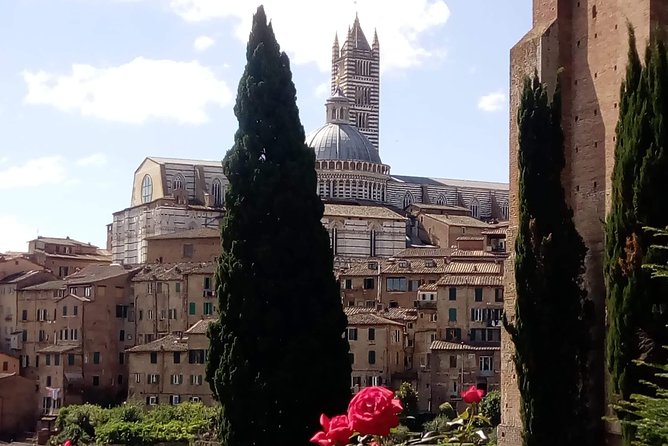 2 hour Siena Private Guided Walking Tour - Key Points
