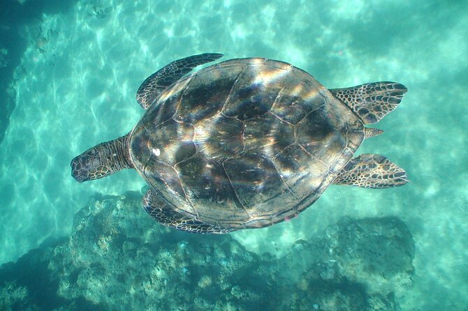 2-Hour Snorkeling Adventure in Kauai - Food, Snacks, and Rest Breaks