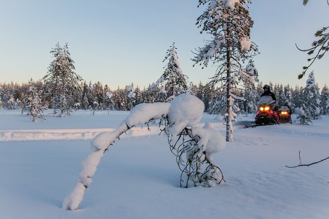 2-Hour Snowmobiling in Ylläs - Scenic Routes Through Forests, Lakes, and Swamps