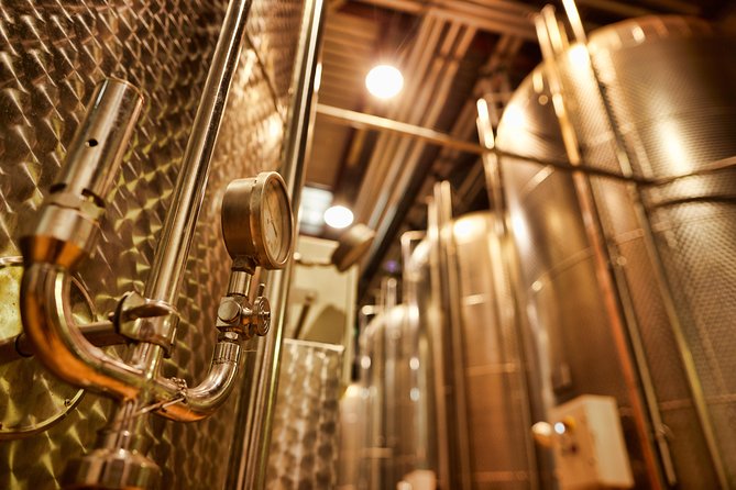 2 Hour Sparkling Wine Tasting and visit in Beaune - The Unique Experience of Robotic Winemaking Techniques