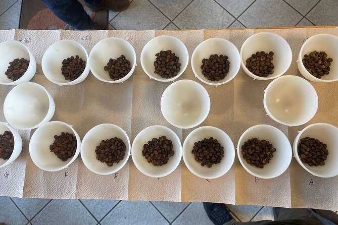 2-Hour Specialty Coffee tasting in Ljubljana - Tasting a Curated Selection of Globally Sourced Coffees