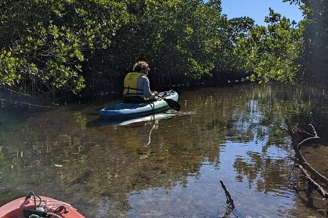 2 Hour Tandem Kayak Tour (Price for 2 People) - Key Points