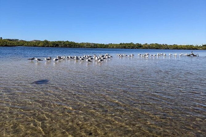 2 Hour Tandem Kayak Tour (Price for 2 People) - Safety and Comfort with Provided Equipment