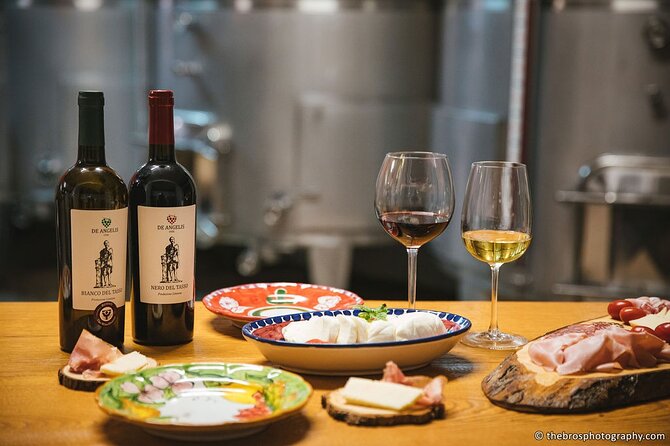 2-hour tasting of 5 wines in Sorrento - Discover the Charm of Cantine De Angelis in Sorrento