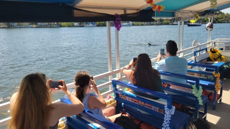 2 Hour Tiki Dolphin Sightseeing Tour in Cocoa Beach - The Guide’s Knowledge and Personal Approach