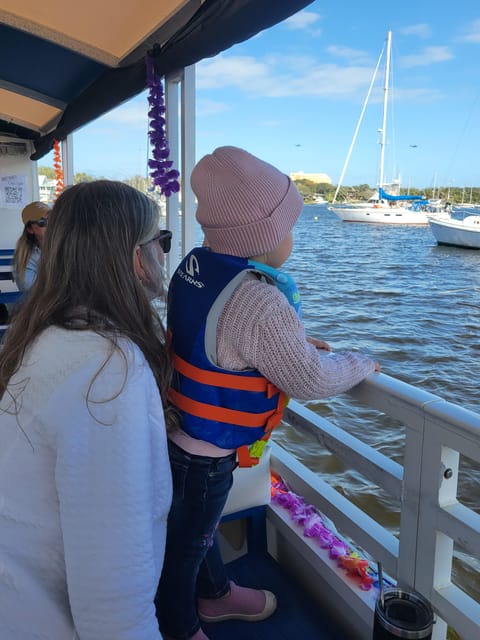 2 Hour Tiki Dolphin Sightseeing Tour in Cocoa Beach - The Sum Up: A Friendly and Wildlife-Focused Coastal Boat Tour