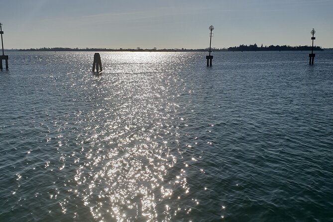 2-hour Venice Guided Walking Tour with Gondola ride - Exploring Campo San Bartolomeo and Carlo Goldoni’s Statue