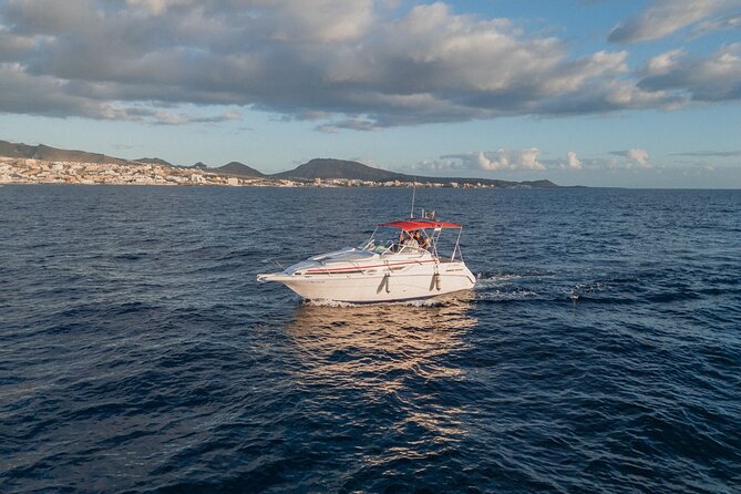 2 Hour VIP Private Luxury Sunset Boat Charter in Tenerife - Who Will Most Enjoy This Sunset Cruise?
