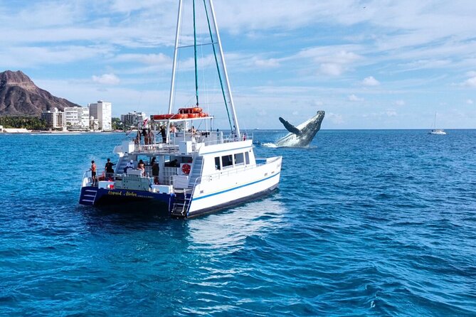 2 Hour Waikiki Whale Watching Cruise from Oahu - Key Points