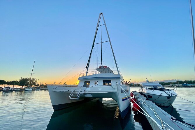 2 Hour Waikiki Whale Watching Cruise from Oahu - Departing from Waikikis Heart at Ala Moana Blvd