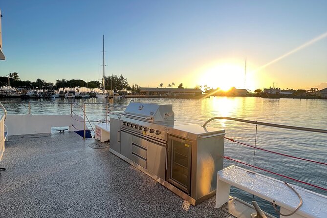 2 Hour Waikiki Whale Watching Cruise from Oahu - What Marine Wildlife Can You Expect to See?