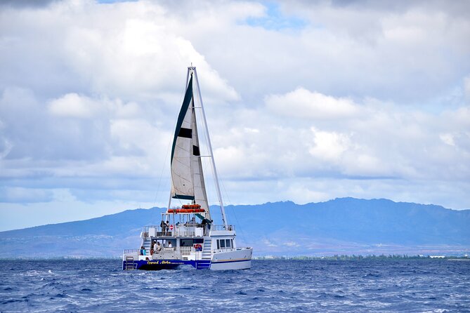 2 Hour Waikiki Whale Watching Cruise from Oahu - How This Tour Differs from Other Marine Excursions