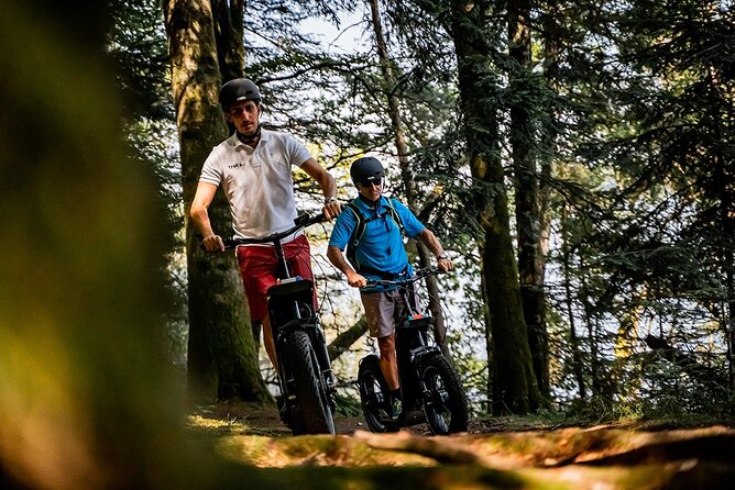 2-hour walk - Castles and vineyards - Château Marnier-Lapostolle and its Spirit Collection