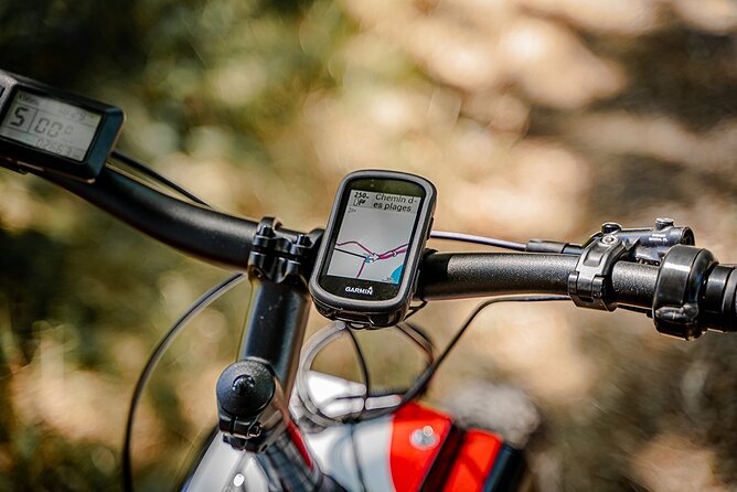 2-hour walk - Castles and vineyards - The Plus of Accessing Vineyards and Historic Landmarks