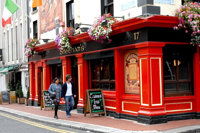 2 Hour Walking Tour of Dublin's City Centre - Strolling Through Temple Bar’s Transformation