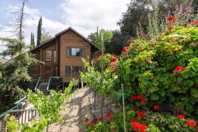 2 Hour Wildflower Horseback Trail Ride experience in Agoura Hills - The Cost and Value of the Wildflower Trail Ride