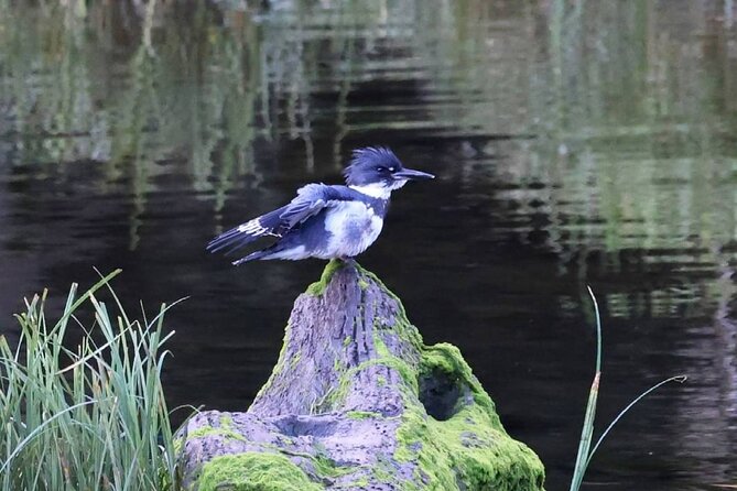 2-Hour Wildlife and Culture small van Excursion - Flexibility and Booking