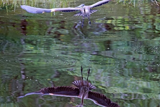 2-Hour Wildlife and Culture small van Excursion - Limitations and Considerations