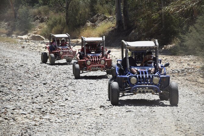 2 Hours Buggy Safari Experience in the Mountains of Mijas with Guide - Practical Details: Meeting Point and Safety Measures