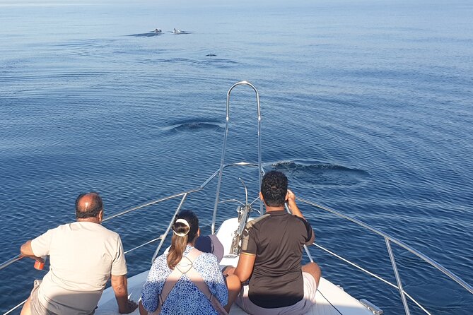 2 Hours Dolphin Watching in Marbella - The Experiences Pacing and Atmosphere