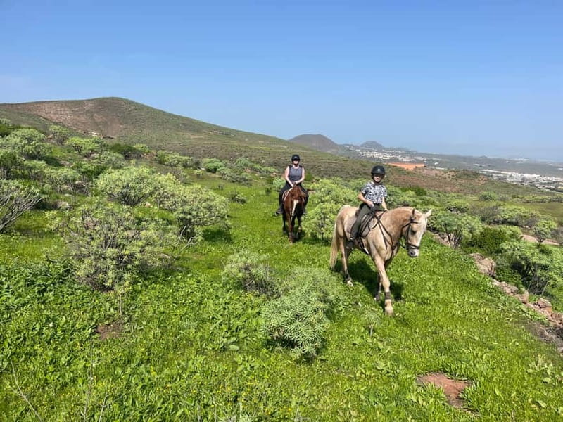 2 hours Green Mountains Horse Riding Tour - Key Points