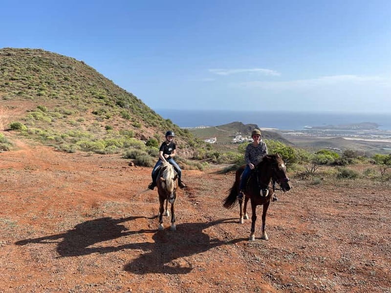 2 hours Green Mountains Horse Riding Tour - Scenic Tracks Suitable for All Levels