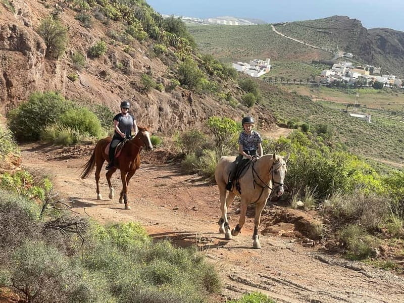 2 hours Green Mountains Horse Riding Tour - The Guide and Horses Make a Difference