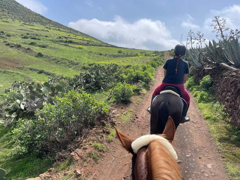 2 hours Green Mountains Horse Riding Tour - What Sets This Tour Apart from Others