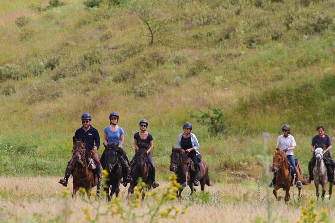 2-Hours Guided Drino's Valley Ride - Horses and Guides: Expertly Managed for a Smooth Ride