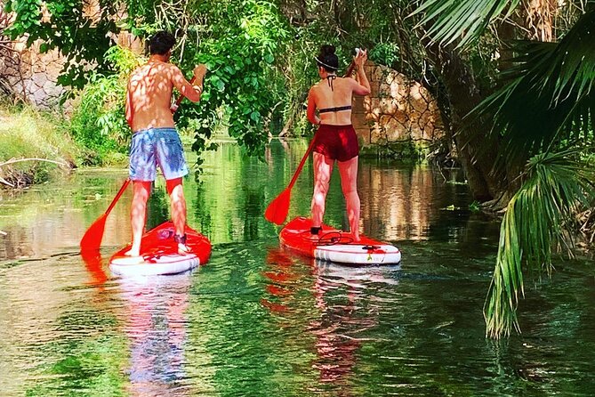 2 Hours guided tour in Sup in the Syracuse coast - Experience a Unique 2-Hour SUP Tour Along Syracuses Stunning Coast