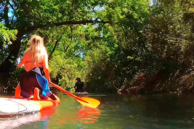 2 Hours guided tour in Sup in the Syracuse coast - Key Points